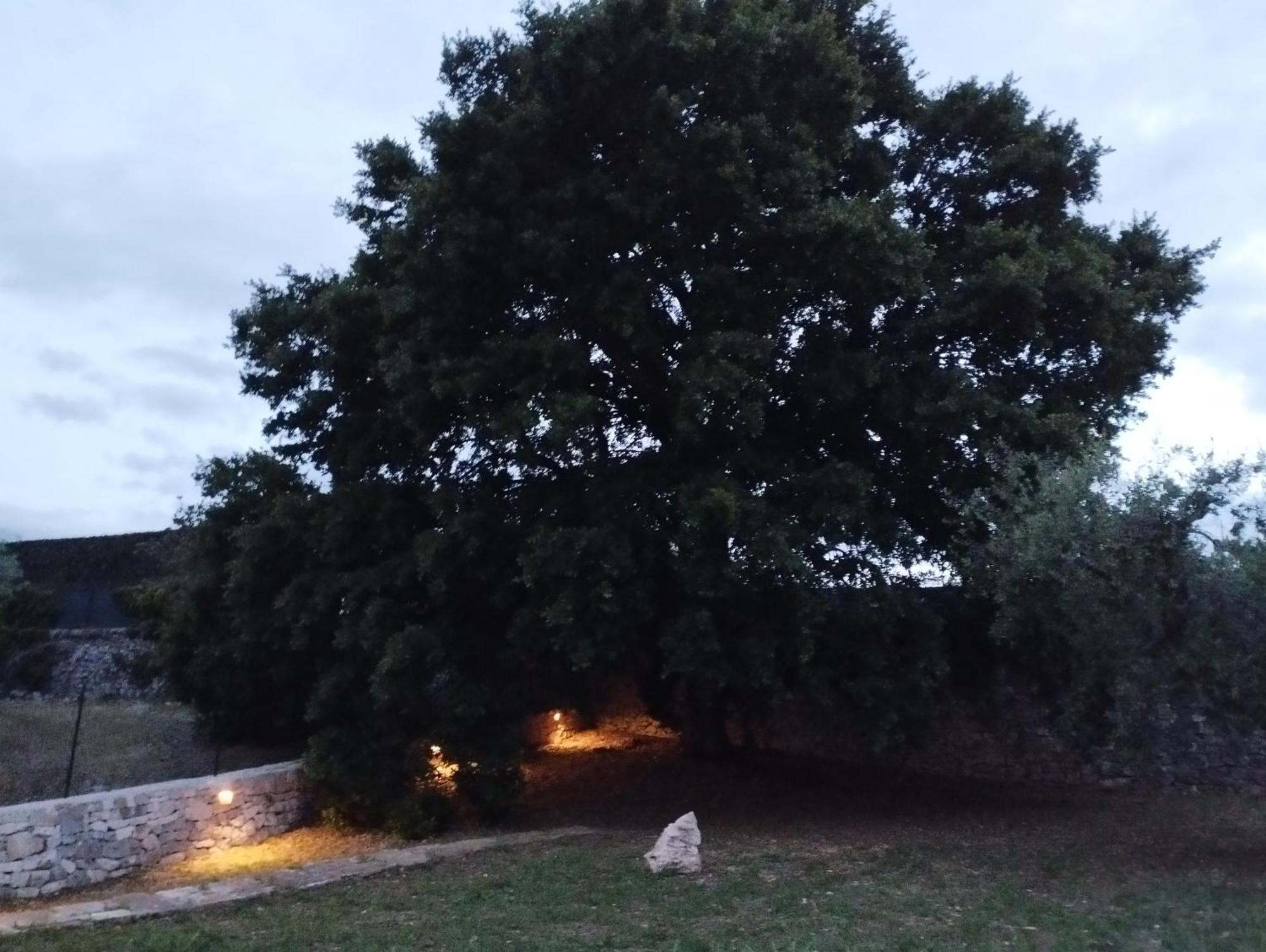 洛科罗通多Trulli La Quercia Del Nonno别墅 外观 照片